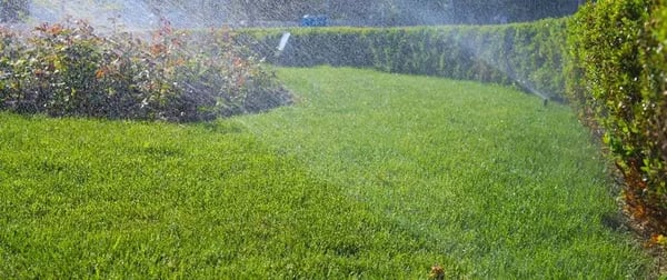 Irrigation Installation
