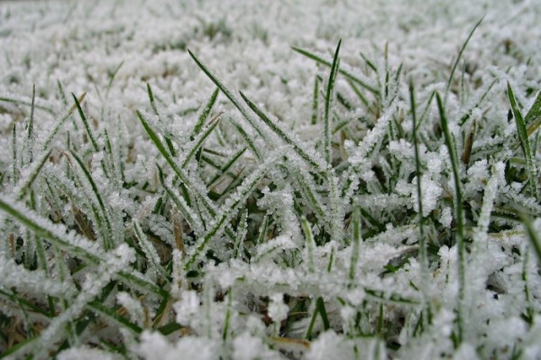 Winterization